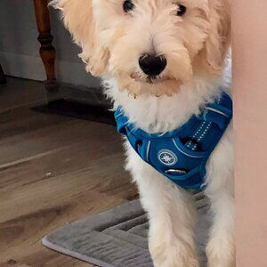 Meet your Posher, Tonya